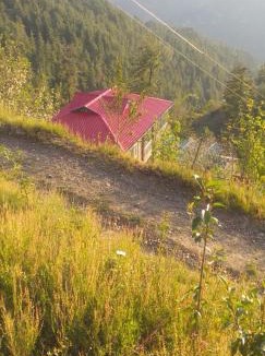 Shimla Apartment | Shanti Jungle cottage