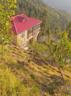 Shimla Apartment | Shanti Jungle cottage