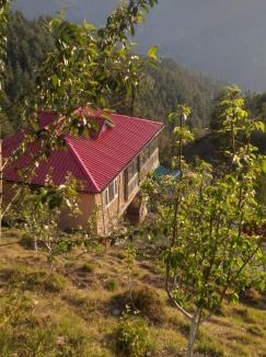 Shimla Apartment | Shanti Jungle cottage