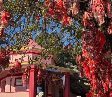 Almora Cabin | Shantiniketan Mountain Home