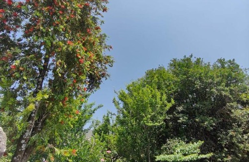 Kullu Bed & Breakfast | Sharma Home stay INN