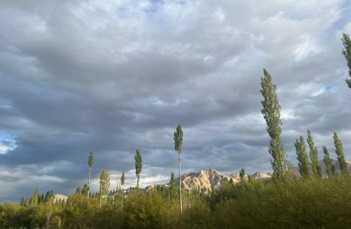 Leh Apartment | Shashi Guesthouse