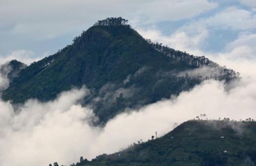 Kodaikanal Villa | Sky High Villa Annex