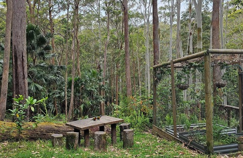 Smiths Lake House | Smiths Treehouse - a gorgeous cedar built cottage in tranquil bush setting