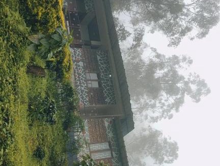 Kannan Devan Hills Apartment | Snowdropshomestay