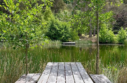 Yaouk House | Snowgums Mountain Retreat - the perfect retreat location