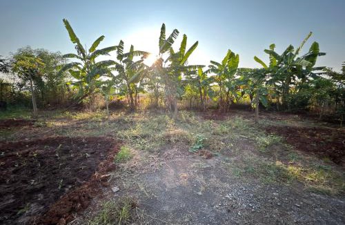 Wadgaon Villa | Srushti Farms