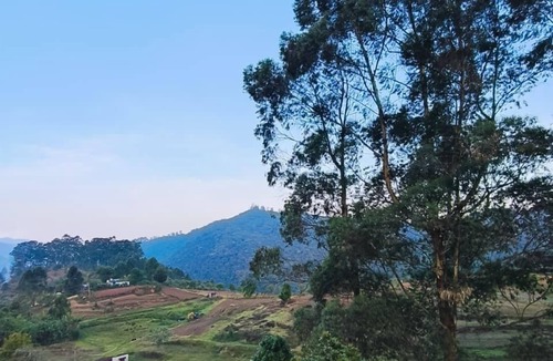 Kodaikanal House | Star Place Homestays