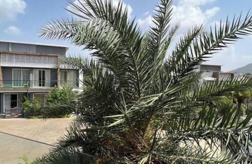 Tungarli Villa | Starfire 3 BHK With Pvt Pool By Stellar Stays