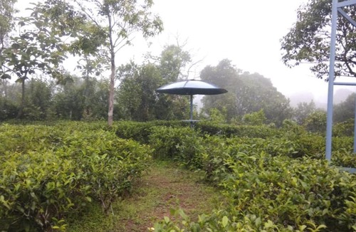Vagamon Ski Chalet | Thanal Farm Stay Vagamon