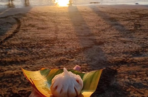 Alibaug Hotel | The Alibag Beach hotel- Grantley