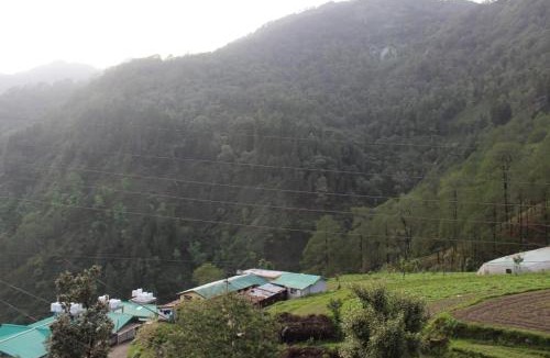 Nainital Apartment | The Blessings Annexe