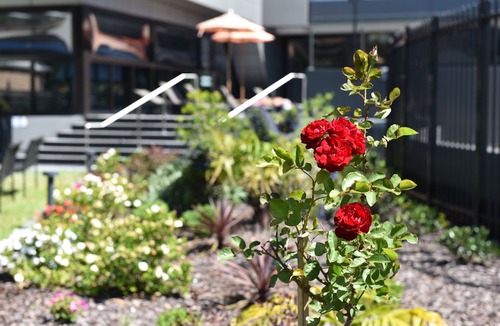 Mascot Hotel | The Branksome Hotel & Residences