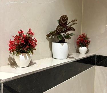 Indore Apartment | The Brownstone Stay Couple friendly apartment
