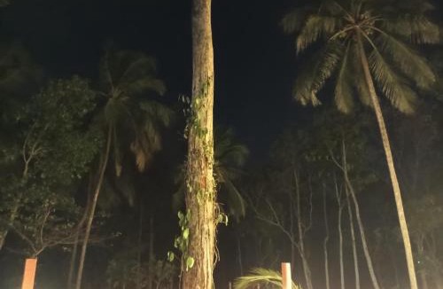 Palakkad House | The Cool Retreat at gaya3farms