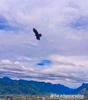 Devikolam Other | The EDGE Paradise
