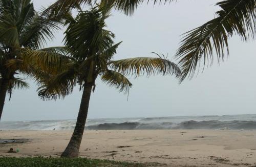 Mararikulam House | The Frangipani Marari Beach