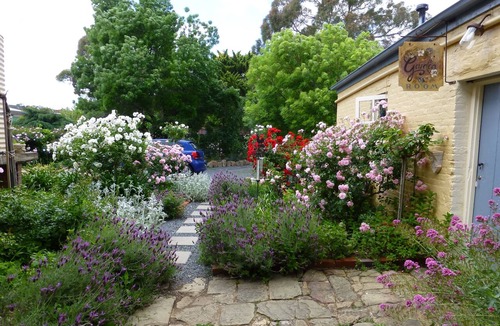 Yass Bed & Breakfast | The Globe Inn