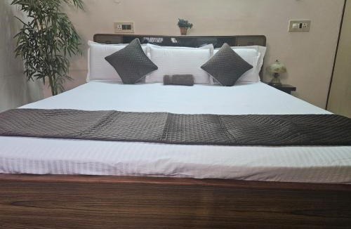 Ludhiana Villa | The Green Villa