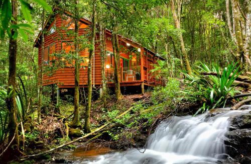 Springbrook Cabin | The Mouses House Rainforest Retreat