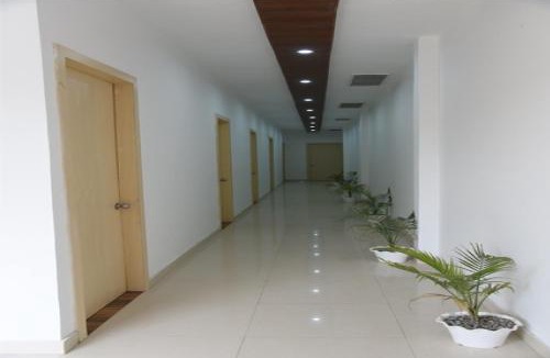 Amritsar Bed & Breakfast | The Palm Tree -Family Stay