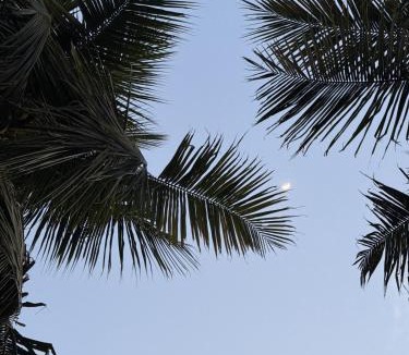 Machilipatnam Villa | The Serene Home