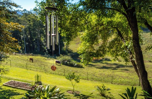 Bellingen Cabin | The Shack - Very secluded 200 acre rural bushland retreat