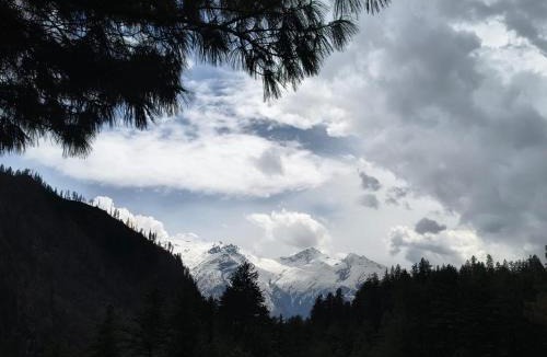 Tosh Hotel | The Soul Himalaya