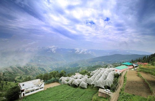 Fagu Hotel | The Suffer Heights l Open Air Lawn l Rooms and Cafe l Kufri by Exotic Stays