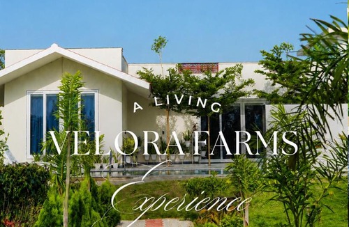 Jaipur Villa | The Velora Farmstay