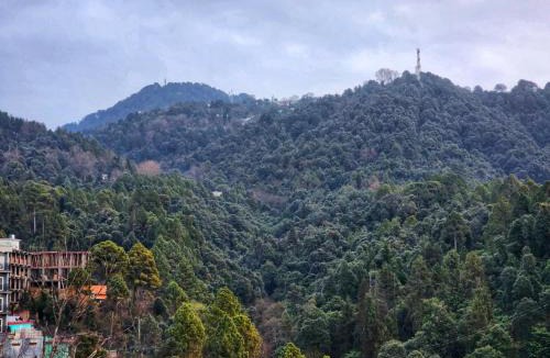 Dalhousie Hotel | The White Orchid Dalhousie