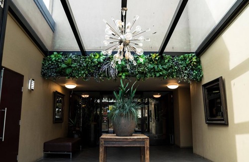 East Maitland Hotel | The Windsor Castle Hotel