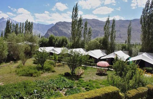 Nubra Valley Other | Tiger Camp Nubra