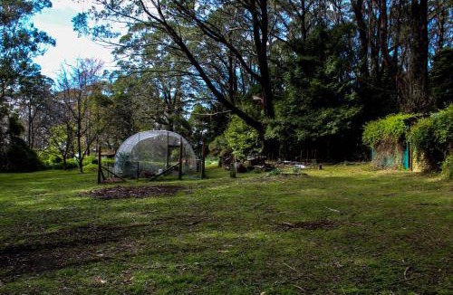 Mount Tomah Bed & Breakfast | Tomah Retreat - Studio BREATHE with fireplace
