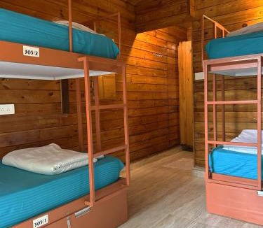 Arambol Hostel | Travo Tales Goa