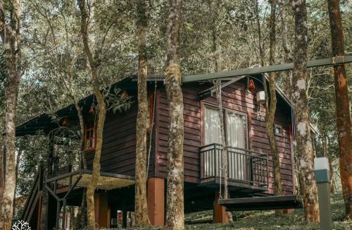 Lakkidi House | Tree Valley Resort Wayanad