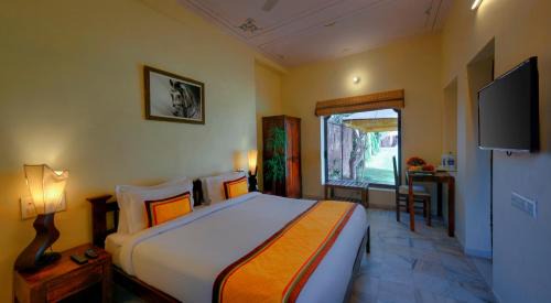 Jodhpur Resort | TreeHouse Rajbagh