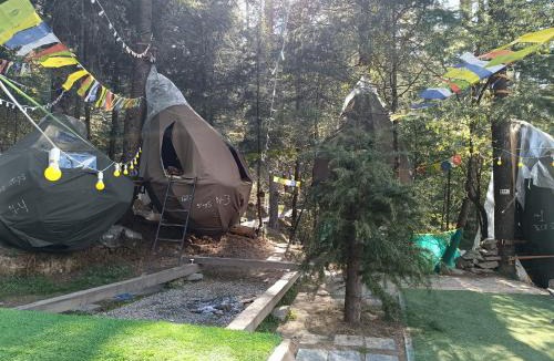 Shangarh Other | Treestays shangarh