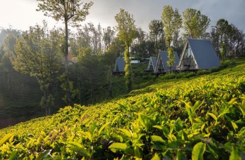 Pudumund Resort | Triangle Valley