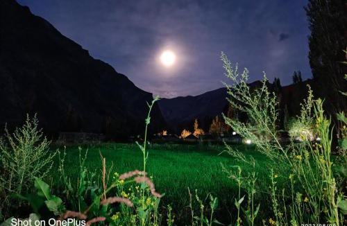 Turtuk Resort | Tyakshi Summer Camp