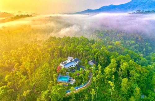 Vayittiri House | Villa Tesori Homestay Wayanad