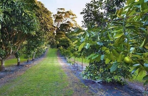 Wallis Lake House | Waterfront Property Wallis Private Island Forster