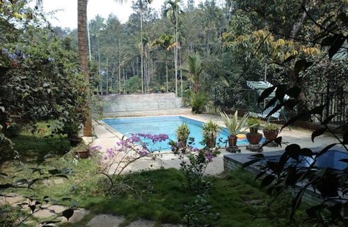 Vayittiri Resort | Wayanad Turmerica Premium Pool Resort