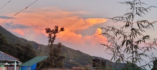 Bhagsu Nag House | White Rabbit Guest House