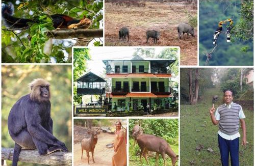 Kumily House | Wild Window - Forest View Homestay