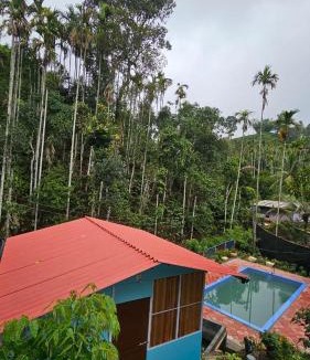 Kottappadi part House | WildCliff pool huts