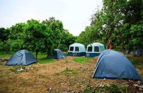 Srikalahasti Other | Wildtentadventure