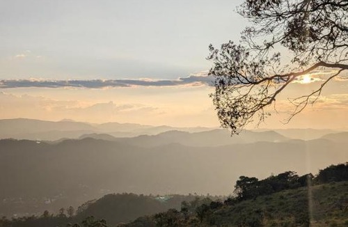 Devikolam House | Winter Bloom Homestay Munnar