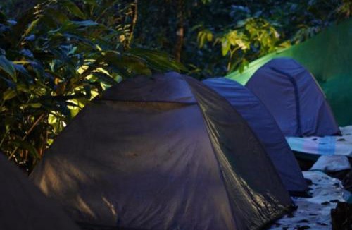 Lakkidi Other | Wooden creek tent camping