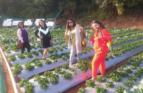 Old Mahabaleshwar House | Woodland farm vila